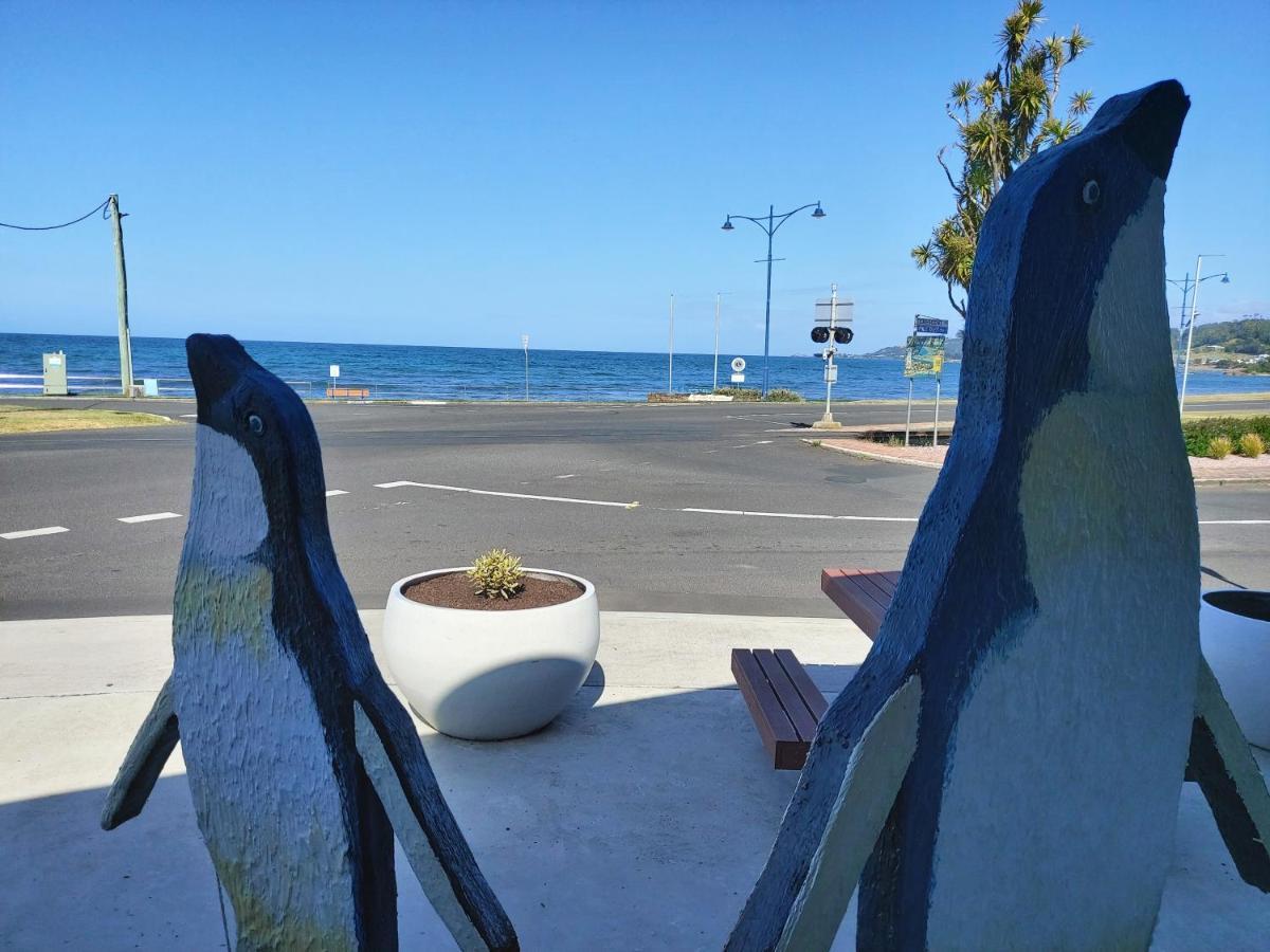 Empty Nest Apartment Penguin Bagian luar foto